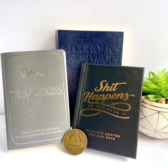 AA Gift Set ✦ Softcover Big Book + Daily Reflections + Shit Happens + REAL 12-Yr - Picture 3 of 8